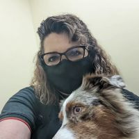 New Tampa Animal Hospital ico