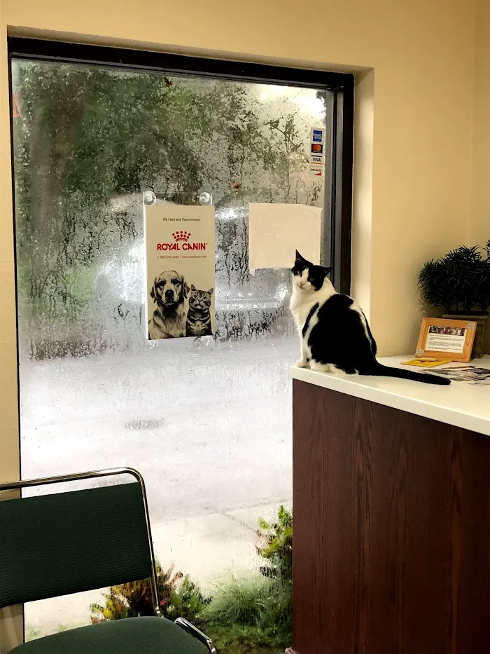 Animal Coalition of Tampa 12