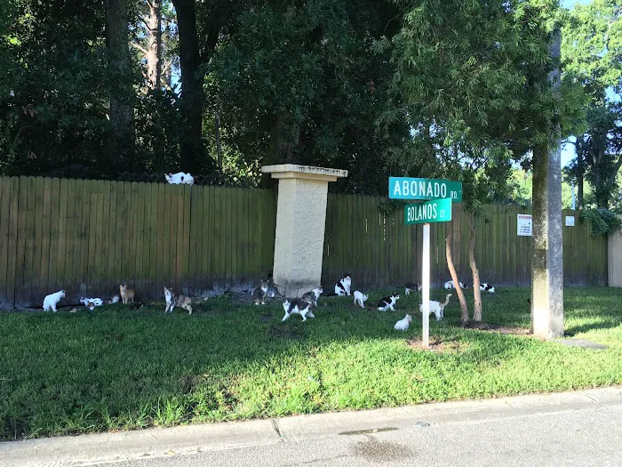 Animal Coalition of Tampa 12
