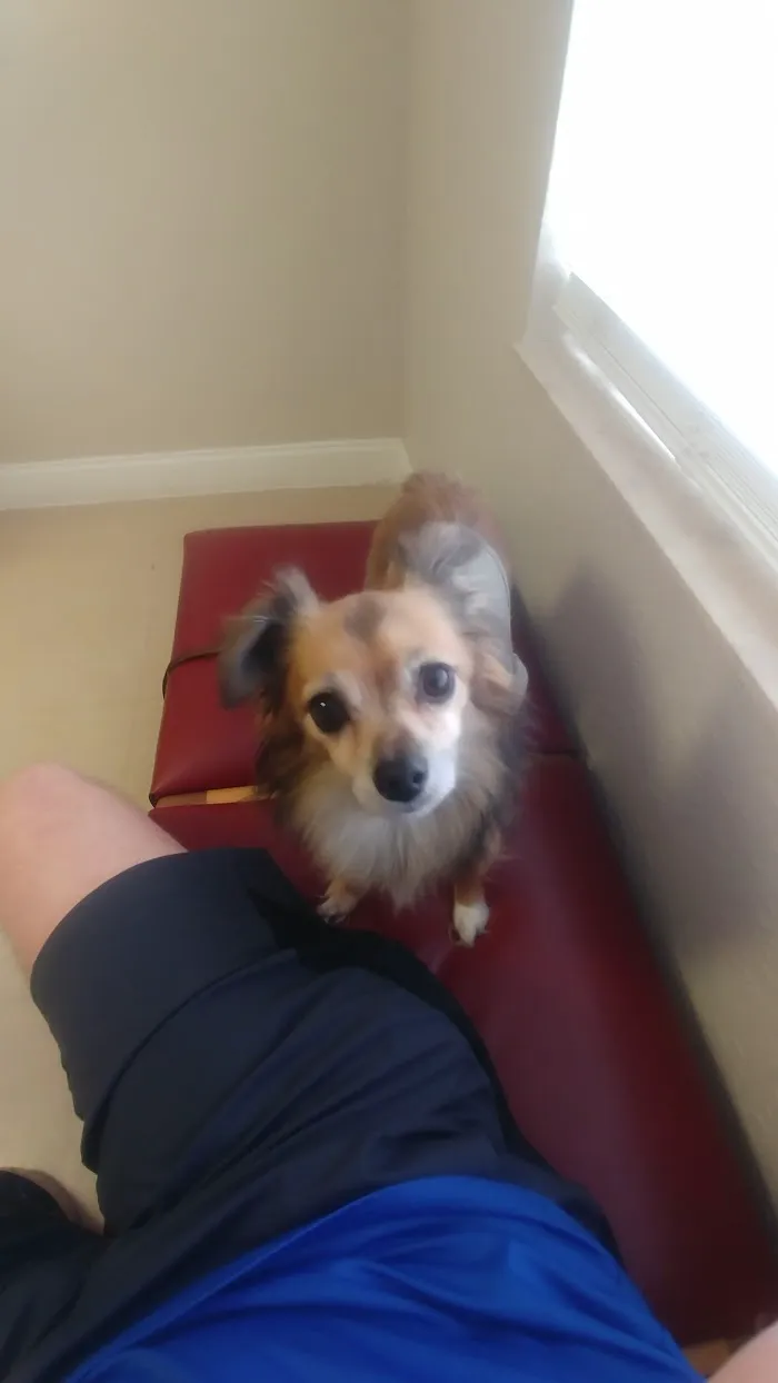 Central Pasco Vet Care 12