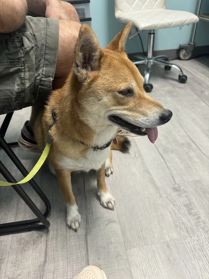 GentleCare Pet Hospital 12