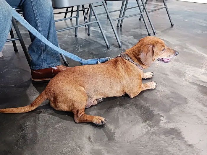Harmony Vet Care of Carrollwood 3
