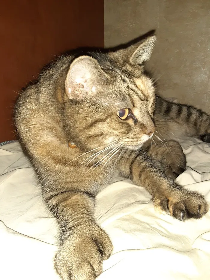 Livingston Animal & Avian Hospital 9