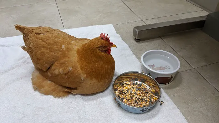 Livingston Animal & Avian Hospital 3