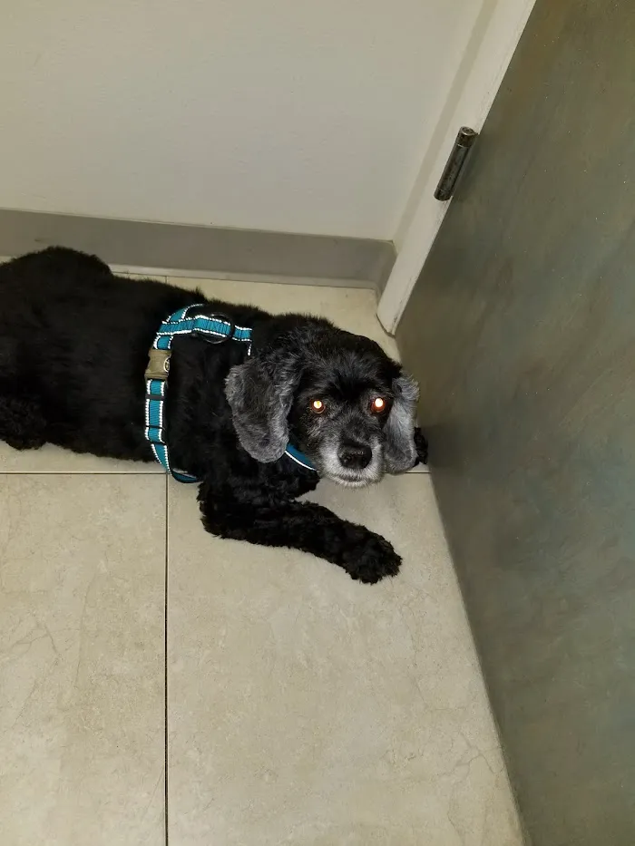 Livingston Animal & Avian Hospital 8