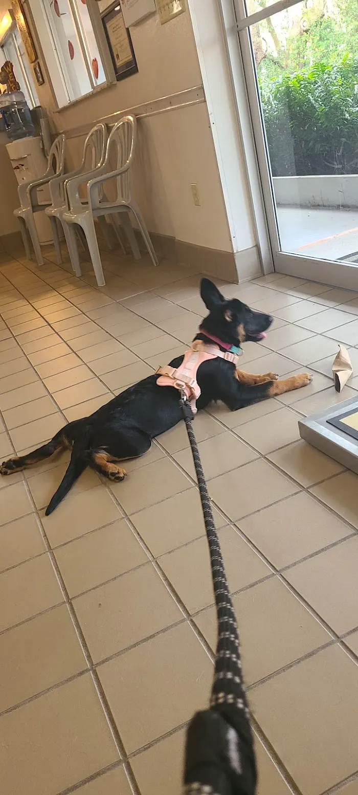 Livingston Animal & Avian Hospital 1