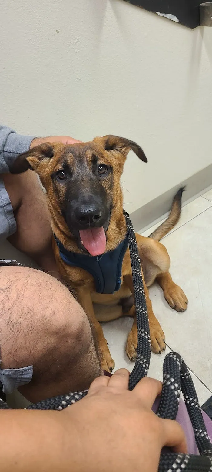 Livingston Animal & Avian Hospital 4