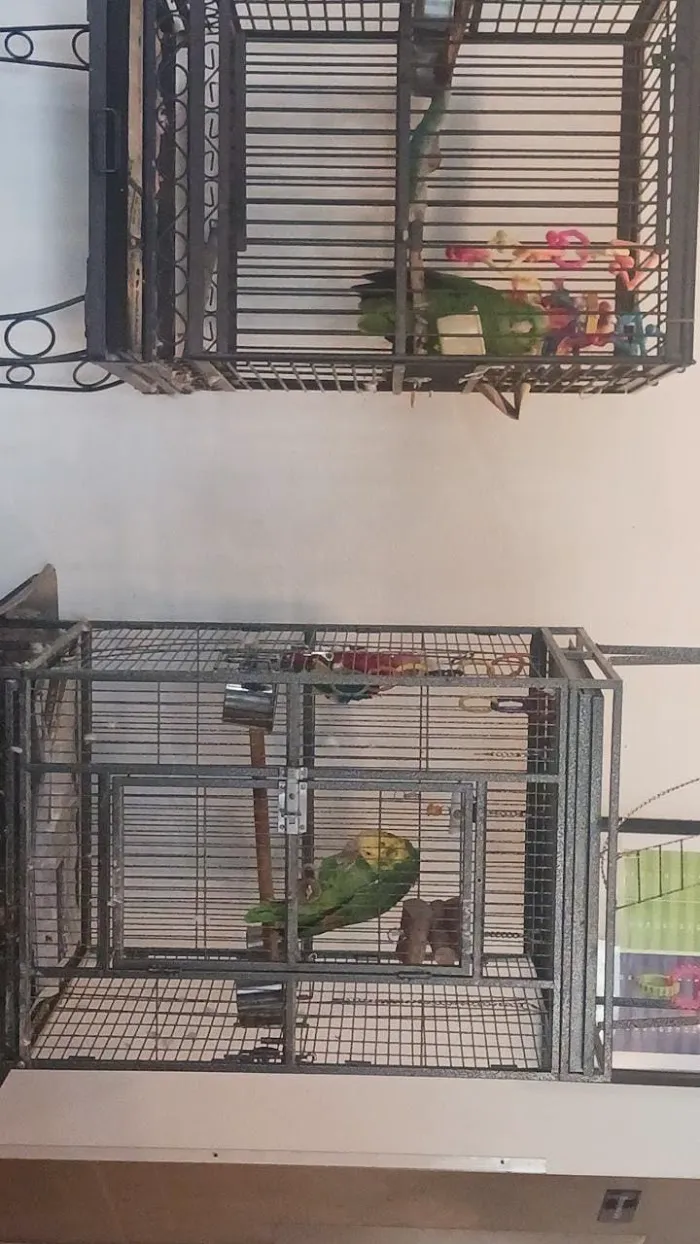 Livingston Animal & Avian Hospital 6