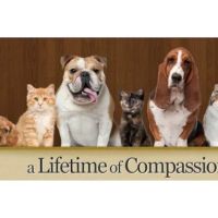 Bearss Animal Hospital ico