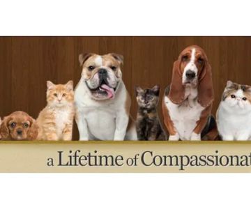 Bearss Animal Hospital