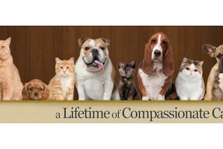 Bearss Animal Hospital