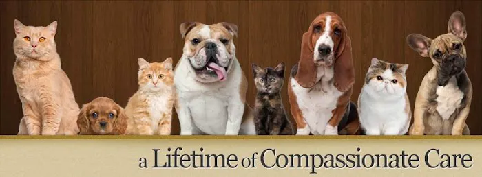 Bearss Animal Hospital 2