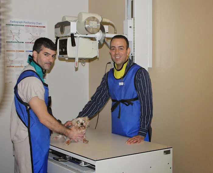Bearss Animal Hospital 7
