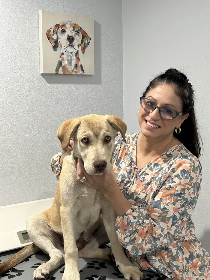 Bearss Animal Hospital 5
