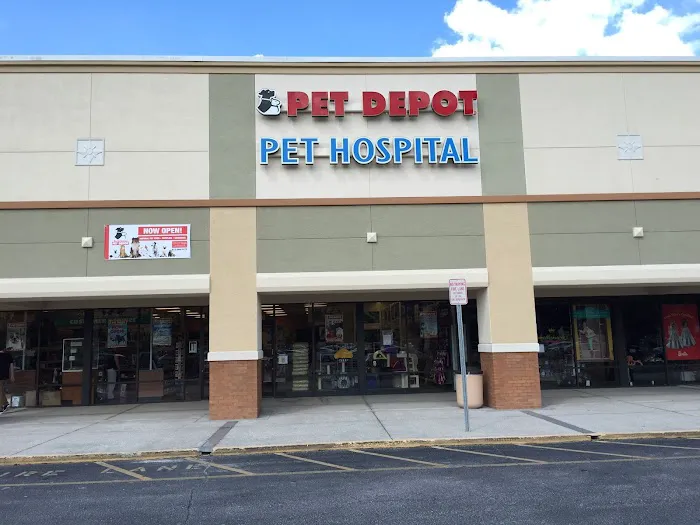 North Tampa Pet Hospital 12