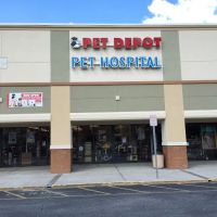 North Tampa Pet Hospital ico