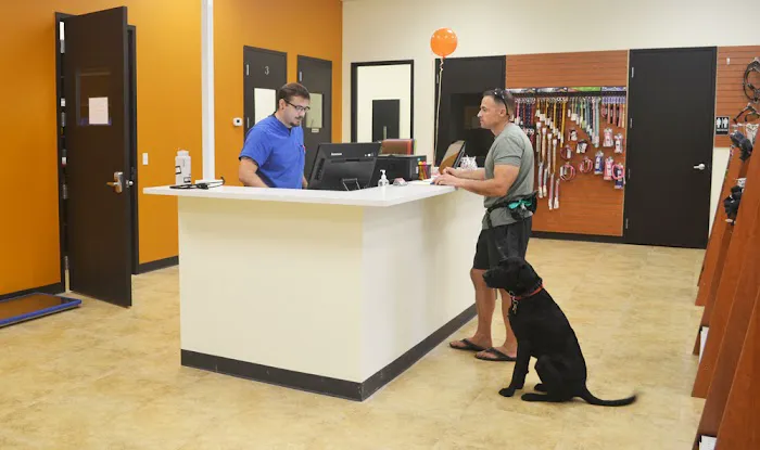 North Tampa Pet Hospital 12
