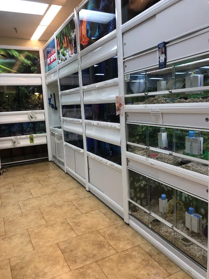 North Tampa Pet Hospital 12