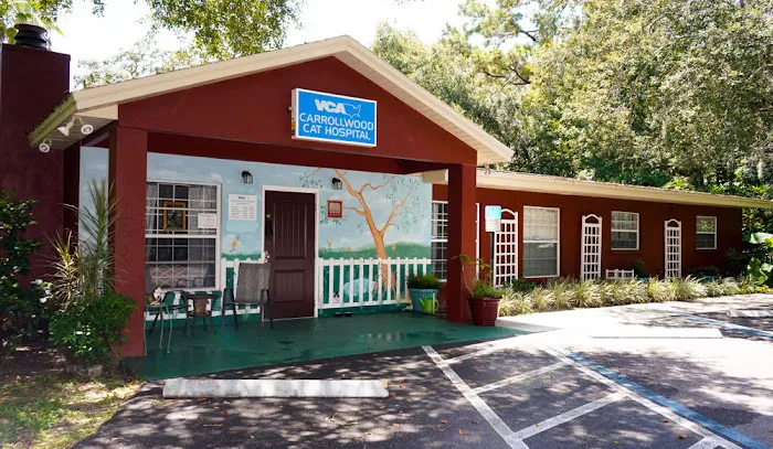 VCA Carrollwood Cat Hospital 2