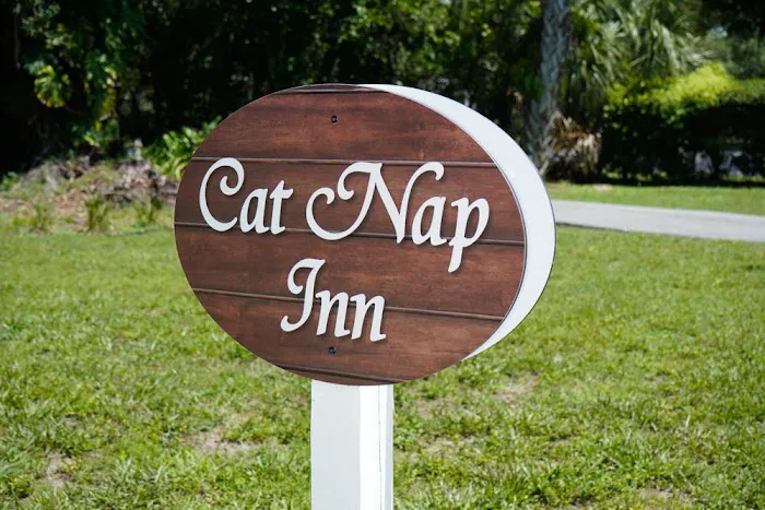 VCA Carrollwood Cat Hospital 9