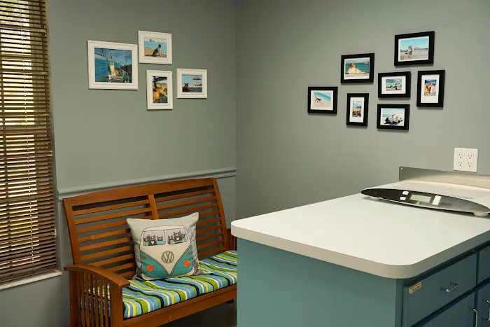VCA Carrollwood Cat Hospital 4