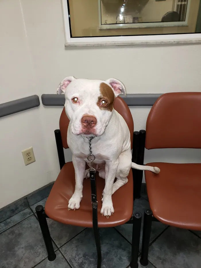 Florida Veterinary Specialist: Aumann Marcel DVM 12