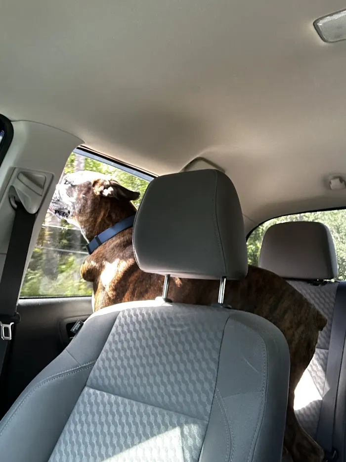 BluePearl Pet Hospital - Urgent Care 12