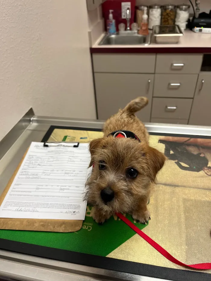 Southpaw Animal Health 12