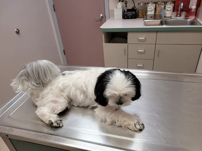 Southpaw Animal Health 12
