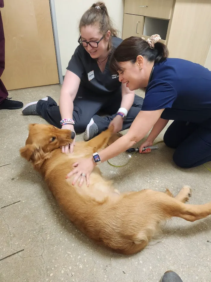 Vetco Total Care Animal Hospital 5