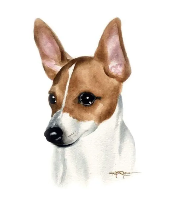 Banfield Pet Hospital 12