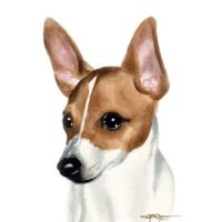 Banfield Pet Hospital ico