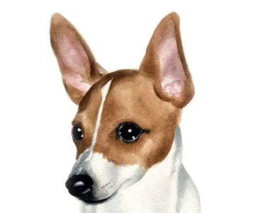 Banfield Pet Hospital