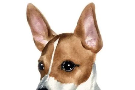 Banfield Pet Hospital