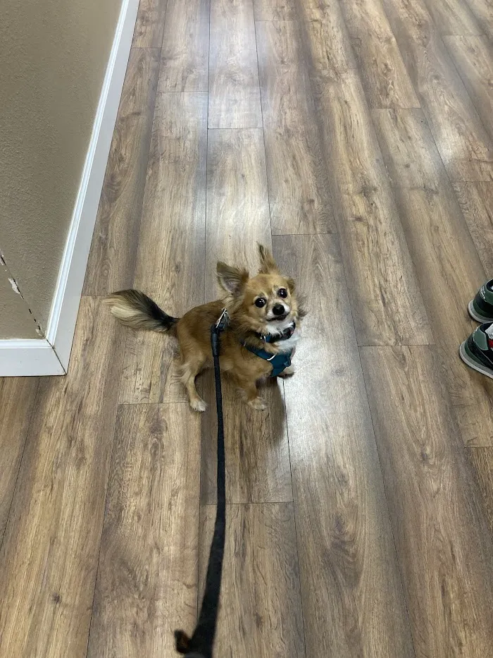 Urgent Paws Vet Clinic 12