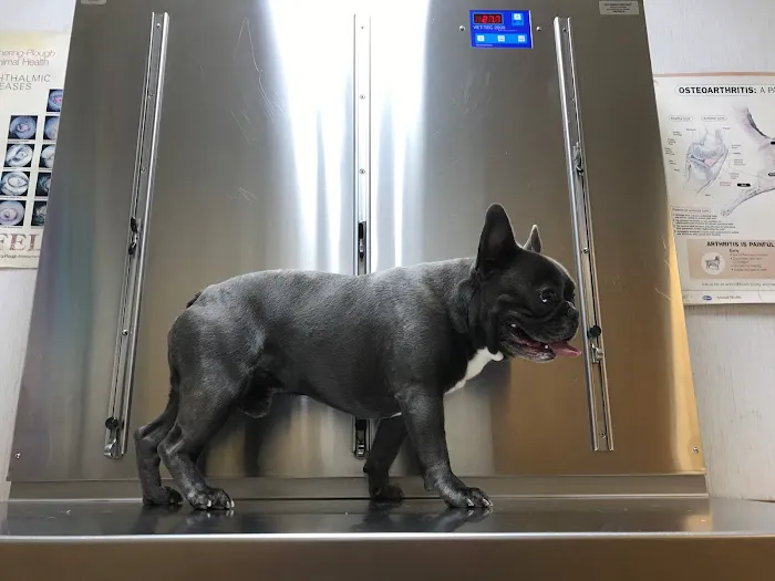 Northdale Animal Hospital 3