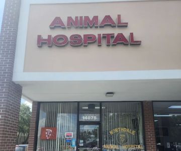 Northdale Animal Hospital