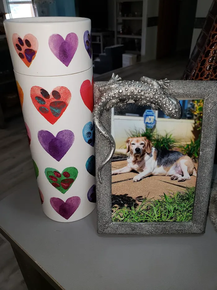 Pet Urgent Care of Wesley Chapel 4