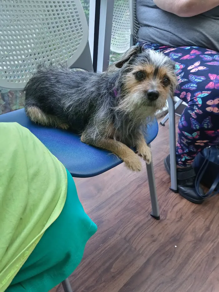 Pet Urgent Care of Wesley Chapel 8
