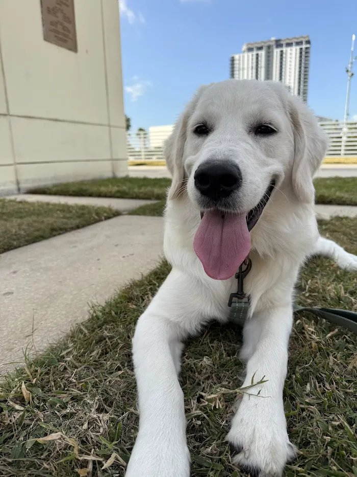 Gregory Vet Clinic 12
