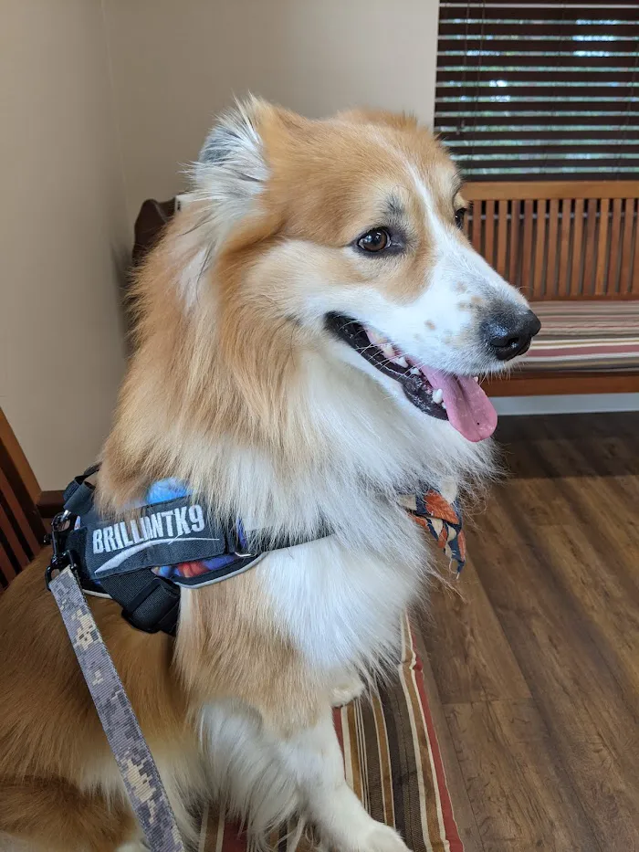 Gregory Vet Clinic 12