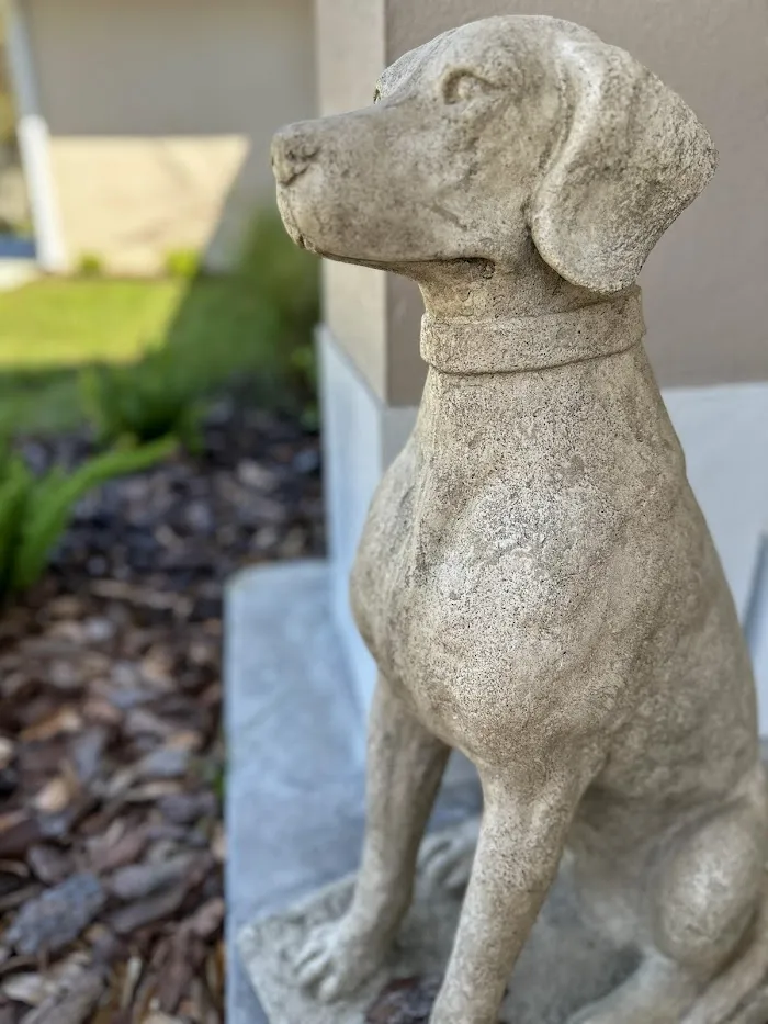 Gregory Vet Clinic 12