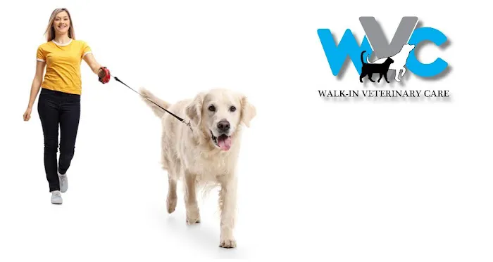 Walk-In Veterinary Care 12