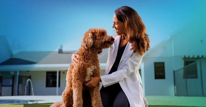NewDay Veterinary Care 3