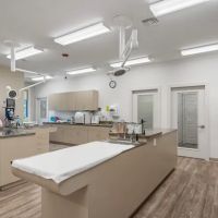 NewDay Veterinary Care ico