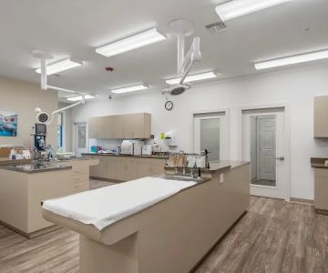 NewDay Veterinary Care