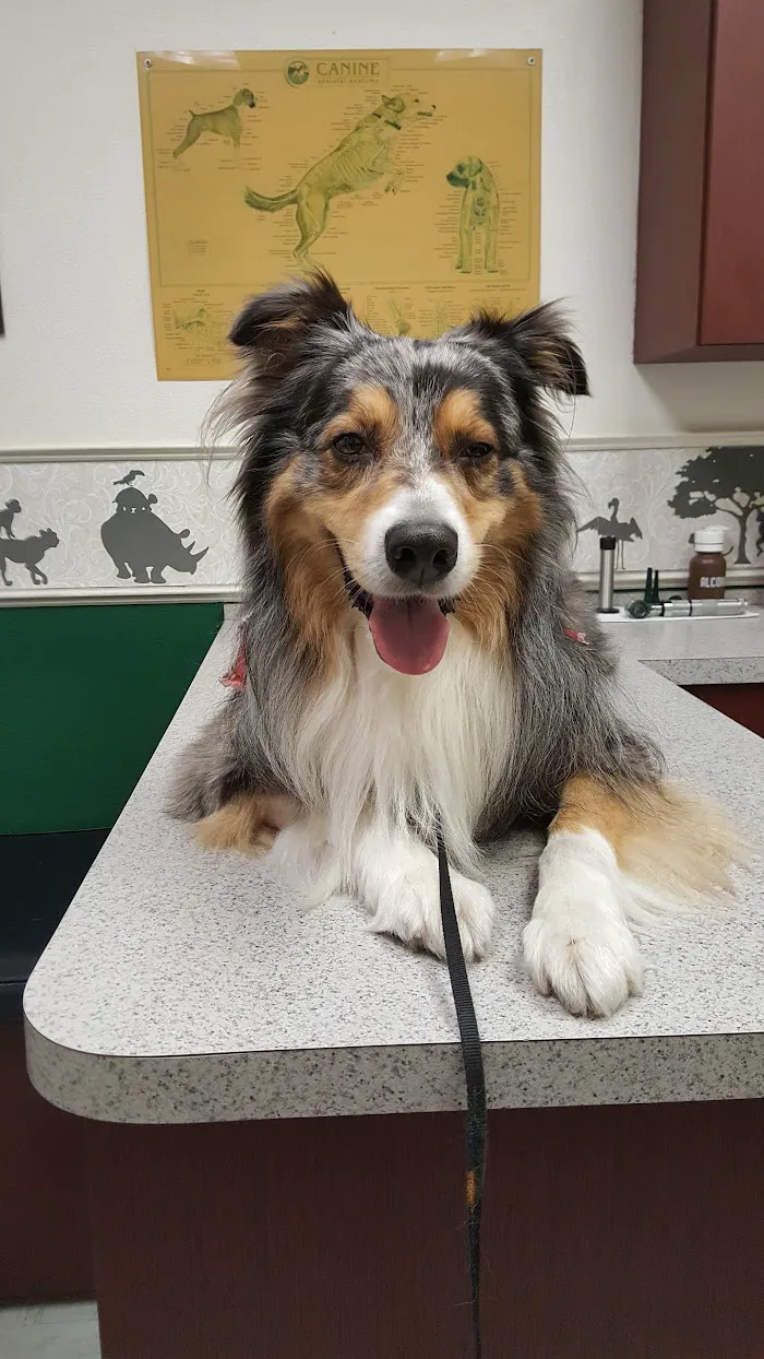 Boyette Animal Hospital 7