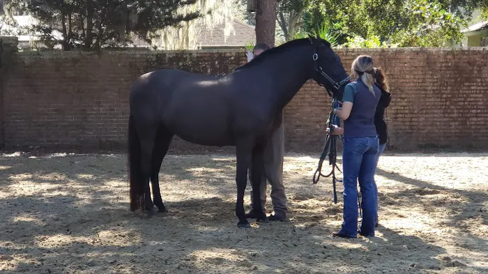 Surgi-Care Center For Horses 12