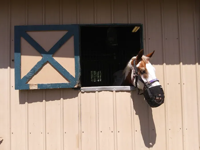 Surgi-Care Center For Horses 12