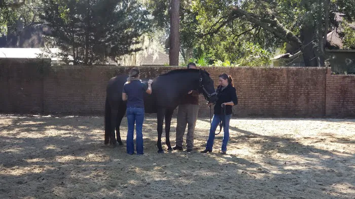 Surgi-Care Center For Horses 12